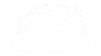 bird watching